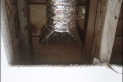 I-have-mold-on-my-ceiling.1.2209161019530
